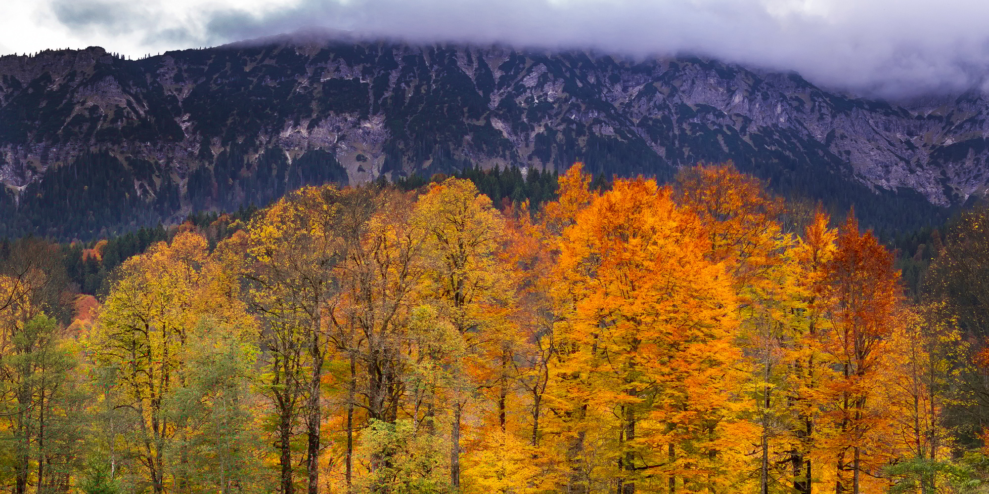 Autumn Mixed Forest, Oberammergau, Germany