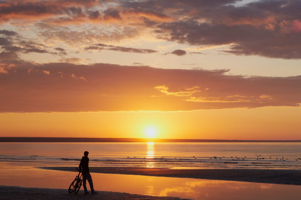 Golden summer sunset on the Baltic Sea coast: silhouette.